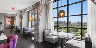 Alta 801 Gallery 43