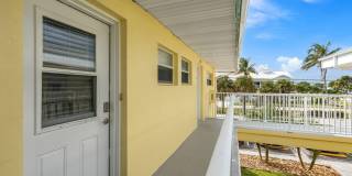 Dolphin Beach Gallery 3