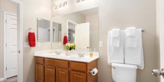 5412 W FETLOCK Trail Gallery 24