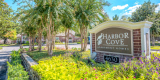 Harbor Cove Gallery 50