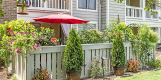 Canter Chase Gallery 31