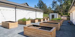 Aura Creekside Gallery 31