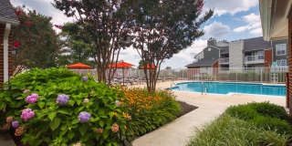 The Crest on Hampton Hollow Gallery 22