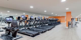 Ferrante Ferrante Gallery 88