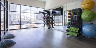 Waterleaf at Cold Springs Gallery 10