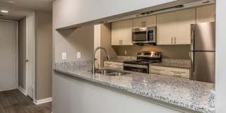 Sussex Downs Gallery 24