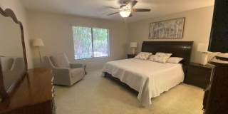 19609 N 98th Dr Gallery 16