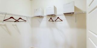 Avery at Turkey Creek Gallery 19