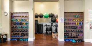 28540 Carlow Ct Gallery 29