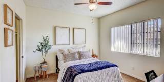 Desert Ridge Gallery 9