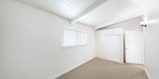 Olive 108 Gallery 9