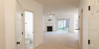 1355 Lake Drive Gallery 3