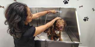 South Port Gallery 30