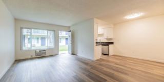 Citrus Gardens Gallery 8