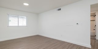 Canopy Gallery 13