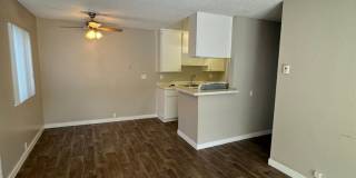 Garden View Gallery 15