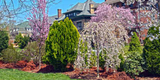 Highland Park Club Gallery 9