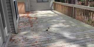 4405 Windtree Road Gallery 8