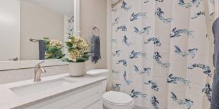 Clayton Pointe Gallery 25