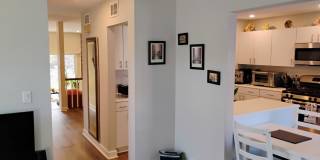 3061 Pheasant Creek Drive Gallery 5