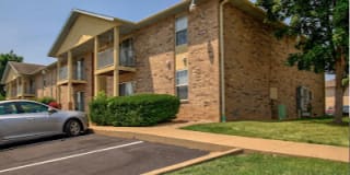 Sunset Woodland Gallery 18