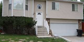 Gorgeous 4 bed 2 bath home in Heber Gallery 1