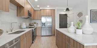 Maxwell at Bascom Maxwell at Bascom Gallery 13