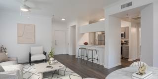 Avanti Gallery 8