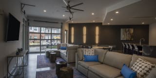 Avenue Madison Gallery 19