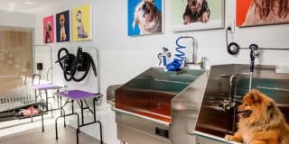 AVA DoBro Gallery 36