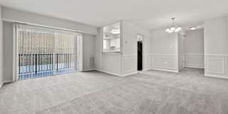Tysons View Gallery 21