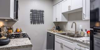 The Clara The Clara Gallery 4