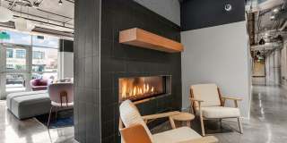 Zephyr Gallery 11