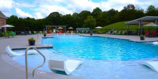 Provenza at Park Place Gallery 3