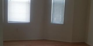 211 White St. Gallery 2
