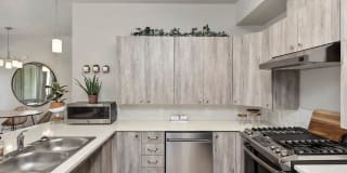 The Lakes at Eagle Gallery 4