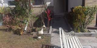 1303 Candlewyck Dr. Gallery 1