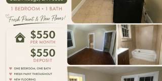 1 BEDROOM 1 BATH - MOVE IN READY 1 BEDROOM 1 BATH - MOVE IN READY Gallery 1