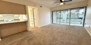 North St. Pete 2/2 condo Gallery 7