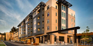 Discovery Heights Gallery 1