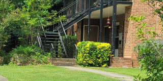 Broad River Area Broad River Area Gallery 3