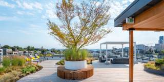 Solis Apartments Gallery 18