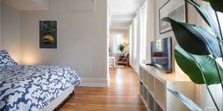 219 Abercorn Street Gallery 6