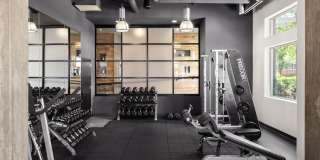 The Frasier Gallery 20