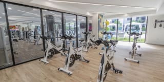 Alameda West Gallery 19