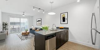 The Standard at Domain Northside Apartments Gallery 18