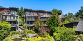 High-End Vineyard Lane Condominium Gallery 1