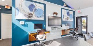 Steeplechase Gallery 28