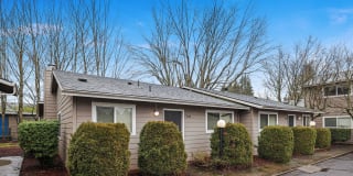 Applegate Gallery 28