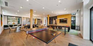 The Piper Gallery 41